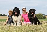 ENFANT ET CHIEN 249